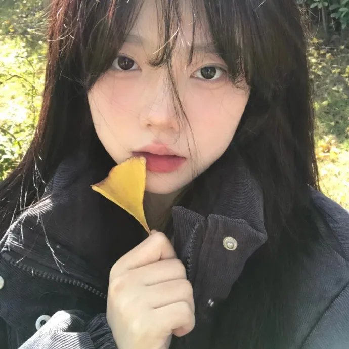 韩国泪的小花