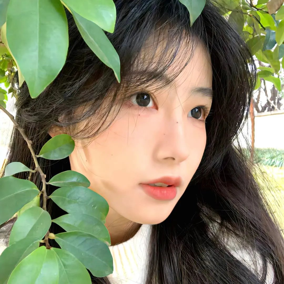 卡尔的约会
